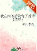 我在四爷后院背了首诗(清穿)讲什么