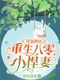 重生八零小悍妻免费阅读