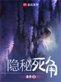 隐秘死角精校