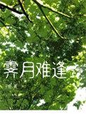霁月难逢by子鹿讲的什么