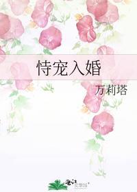 恃宠入婚晋江