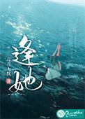 逢她似日光破局