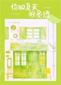 你如夏天般炙热TXT