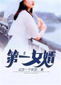 第一女婿傅平