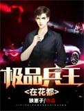 极品兵王在都市一共多少回