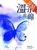温柔又缠绵歌词