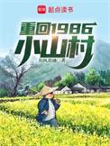 重回1986小山村TXT全本
