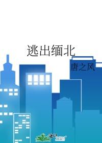 逃出缅北by