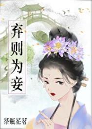 弃则为妾讲的什么