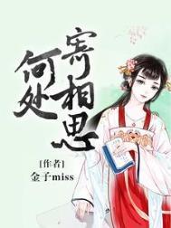 相思何处寄什么意思