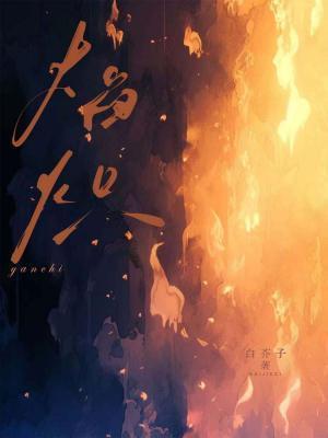 焰炽by白芥子讲的什么