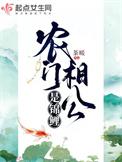 农门相公追妻