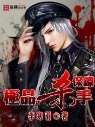 极品杀手回都市