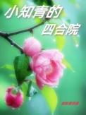 小知青四合院主角王明浩是哪部