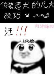 伪装恶犬的几大技巧有哪些