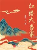 红楼大房夫人