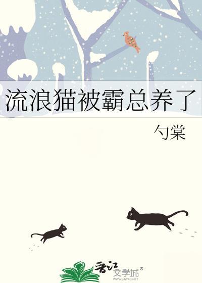 流浪猫被收养