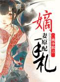 嫡妻原配手札晋江