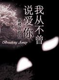 我从不曾说爱你有声