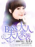 boss夫人又打人了免费听