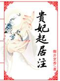 贵妃起居注听书
