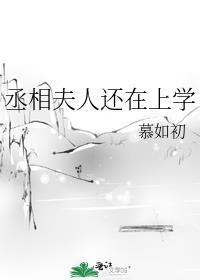 丞相夫人要转正全文免费阅读