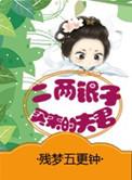 二两银子买来的夫君竺玉一生