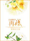再婚进行时 电视剧