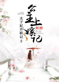 太子妃升职记2公主上嫁记番外