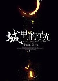 城里的星光(娱乐圈)