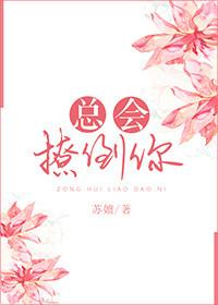 总会撩倒你苏嬗全文免费阅读