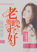 老婆晚安免费阅读全文