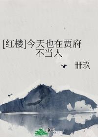 今天也在贾府不当人全文免费阅读