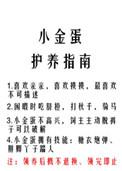 小金蛋护养指南番外txt