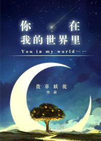 这是什么意思