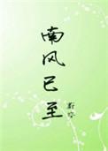 南风已至全文阅读