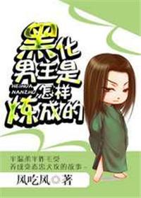 黑化男主是怎样炼成的 作者风吃风