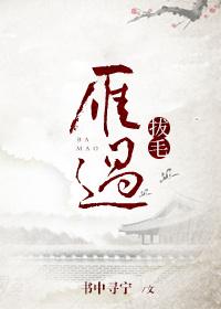 雁过拔毛上一句是啥