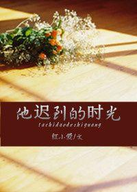 他迟到的时光讲什么