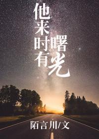 他来时有曙光书评