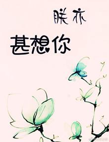 朕亦甚想你朱批奏折原文