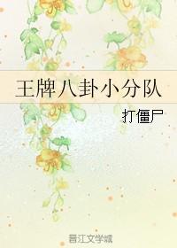 王牌小八档