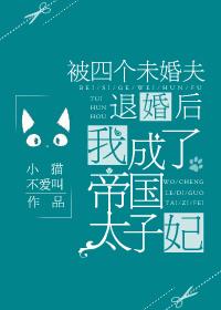 我成了帝国太子妃 小猫不爱叫