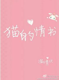 猫的情书全集免费