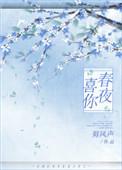 春夜喜你txt