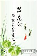 翠花种田农家生活乐文