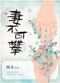 妻不可攀免费阅读