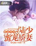豪门蜜婚陆少宠甜妻