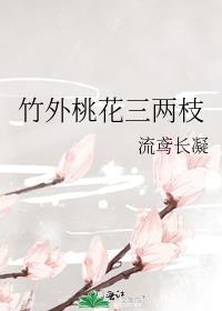 竹外桃花三两枝春江水暖鸭先知作者