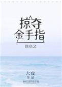 快穿之掠夺金手指—六皮